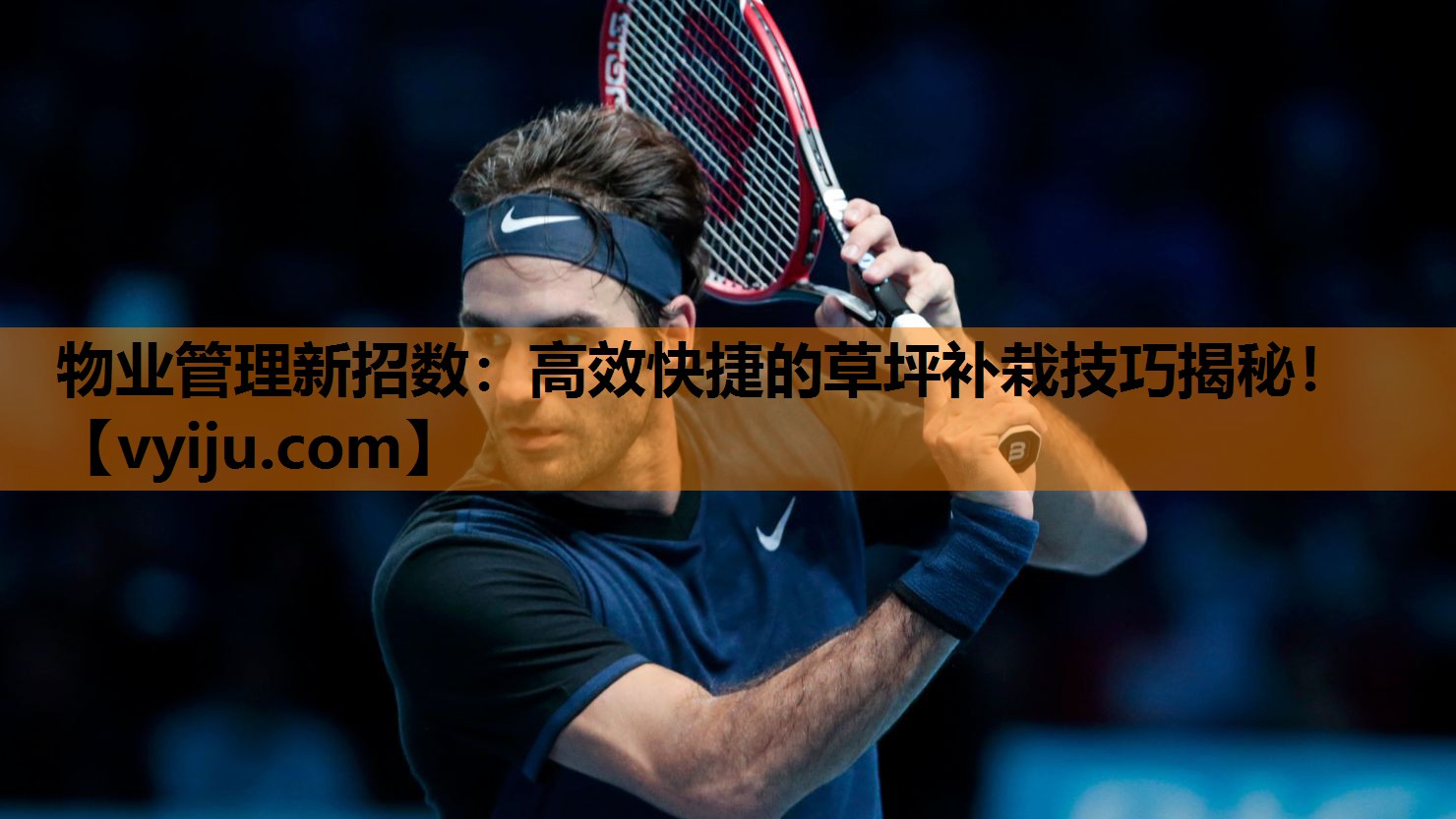 物业管理新招数：高效快捷的草坪补栽技巧揭秘！
