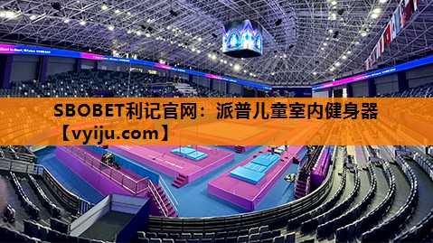 SBOBET利记官网：派普儿童室内健身器