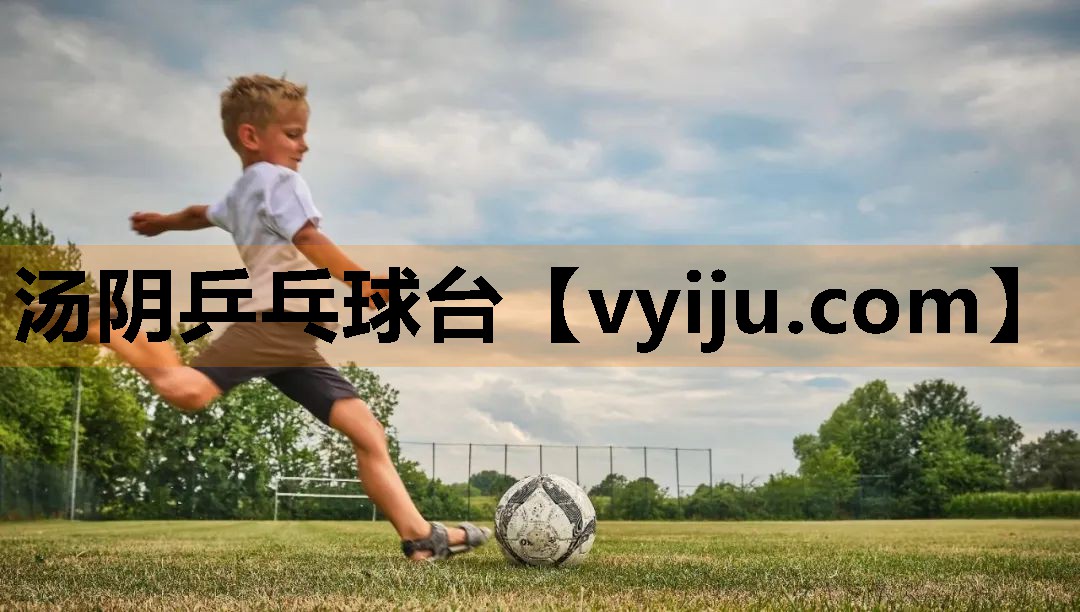 汤阴乒乓球台