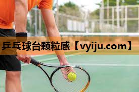 乒乓球台颗粒感