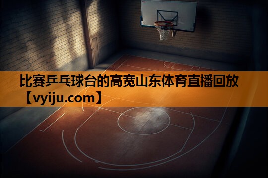 比赛乒乓球台的高宽山东体育直播回放