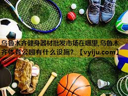 乌鲁木齐健身器材批发市场在哪里,乌鲁木齐体育公园有什么设施？