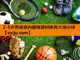 2-5岁男孩室内健身器材体育大球小球