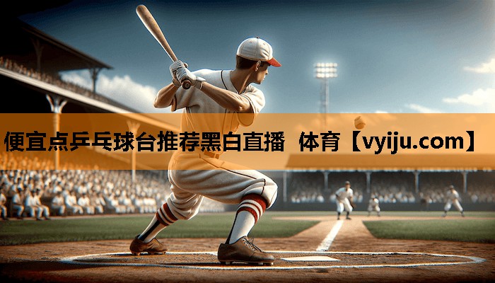 便宜点乒乓球台推荐黑白直播 体育