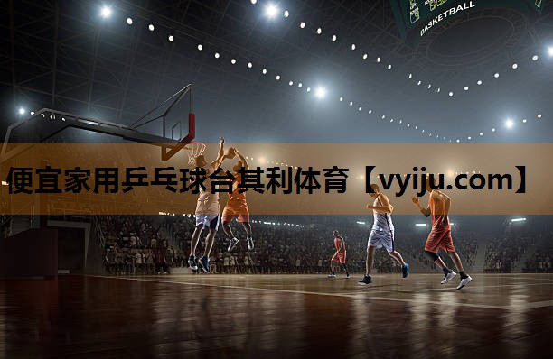 便宜家用乒乓球台其利体育