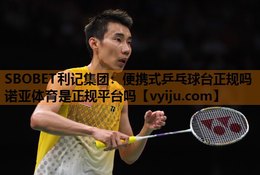 SBOBET利记集团：便携式乒乓球台正规吗诺亚体育是正规平台吗