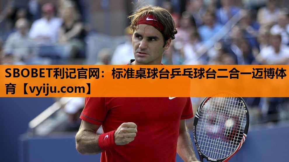 SBOBET利记官网：标准桌球台乒乓球台二合一迈博体育