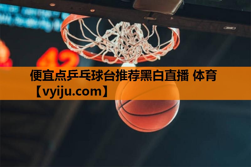 便宜点乒乓球台推荐黑白直播 体育
