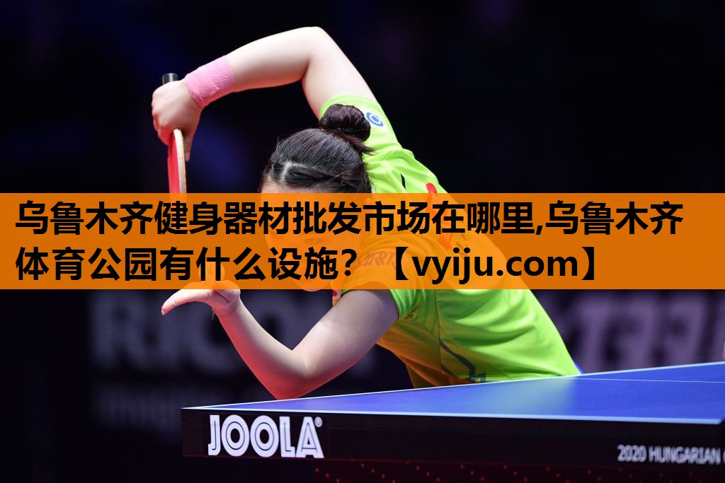 乌鲁木齐健身器材批发市场在哪里,乌鲁木齐体育公园有什么设施？