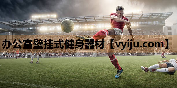 办公室壁挂式健身器材