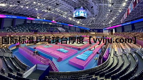 国际标准乒乓球台厚度 国际标准乒乓球台厚度