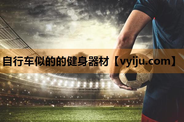 自行车似的的健身器材 自行车似的的健身器材
