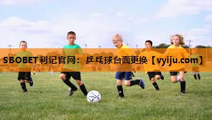 乒乓球台面更换 乒乓球台面更换