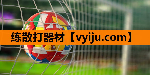 练散打器材 练散打器材