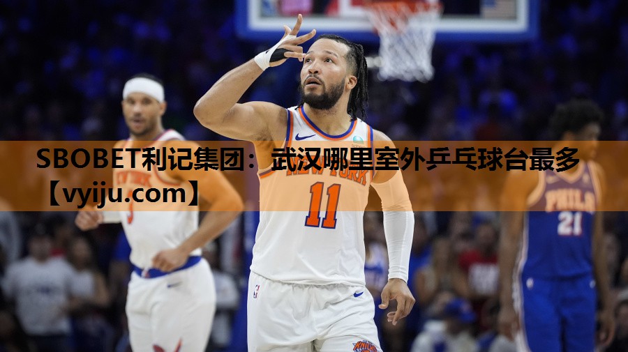 武汉哪里室外乒乓球台最多 武汉哪里室外乒乓球台最多