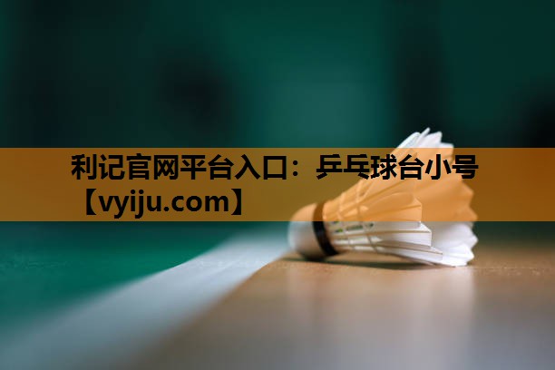 乒乓球台小号 乒乓球台小号