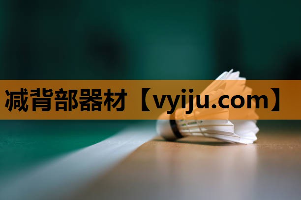 减背部器材 减背部器材