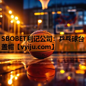 乒乓球台盖帽 乒乓球台盖帽
