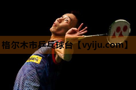 格尔木市乒乓球台